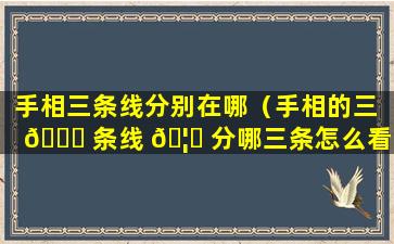 手相三条线分别在哪（手相的三 🐈 条线 🦍 分哪三条怎么看）